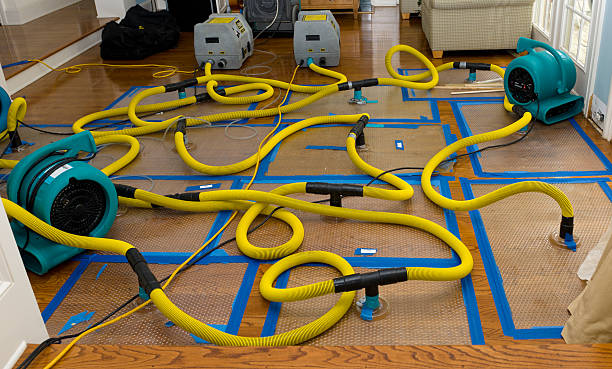 Professional Flood Damage Restoration technician working in Anatone, WA